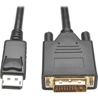 DPort DVI Adapter 6'