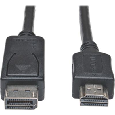 10ft Displayport HD Cbl Adptr